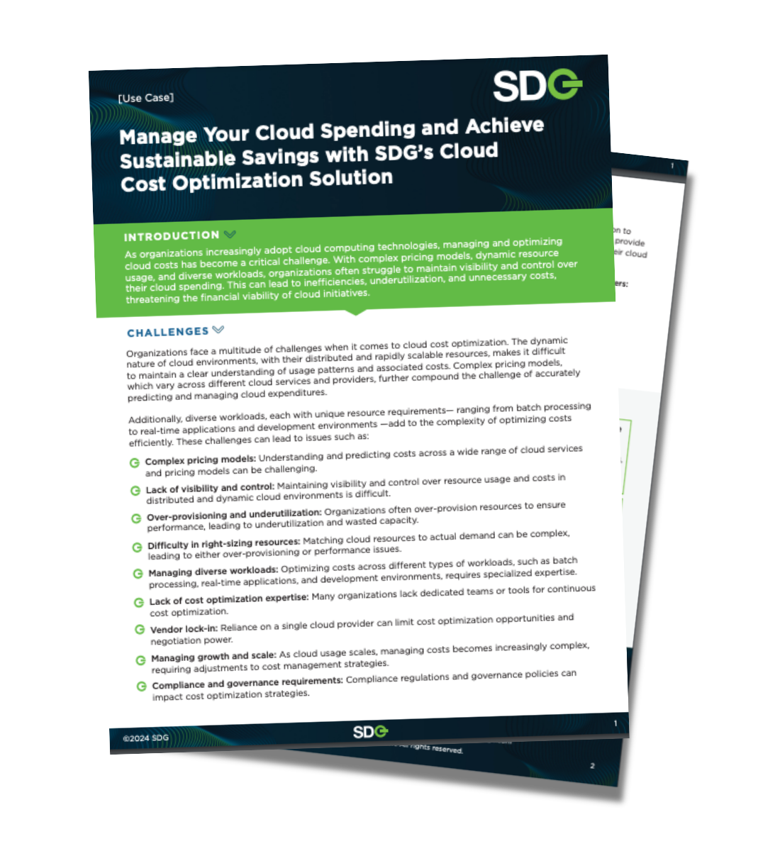 Cloud Spending and Cloud Cost Optimization Use Case SDG