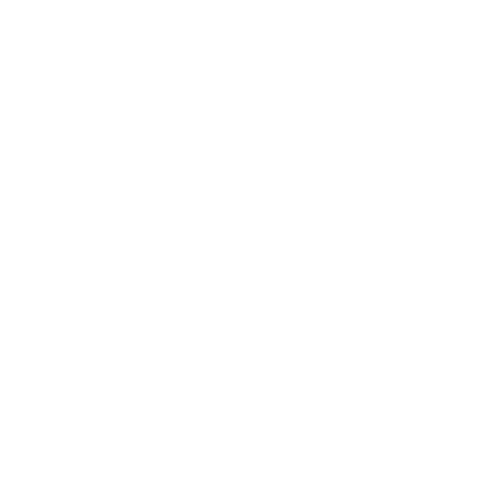 shield icon